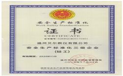 安全生產(chǎn)標(biāo)準(zhǔn)化